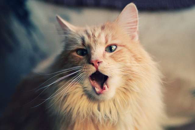 夜战逆转！加克波连珠炮击溃防线，年度焦点之战他一人改写了剧本