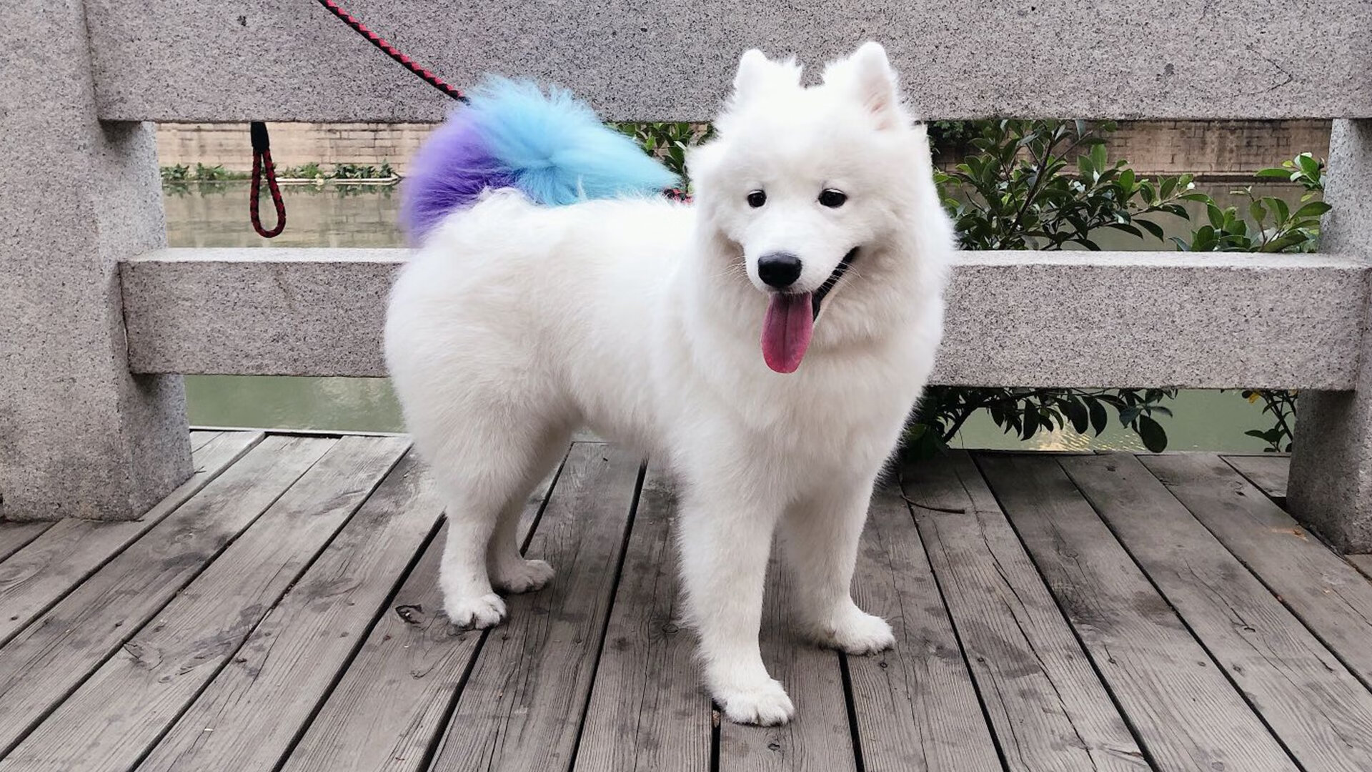 英超争冠之夜,詹姆斯一剑封喉,巨星的价值,在于扛起整座城市的重量