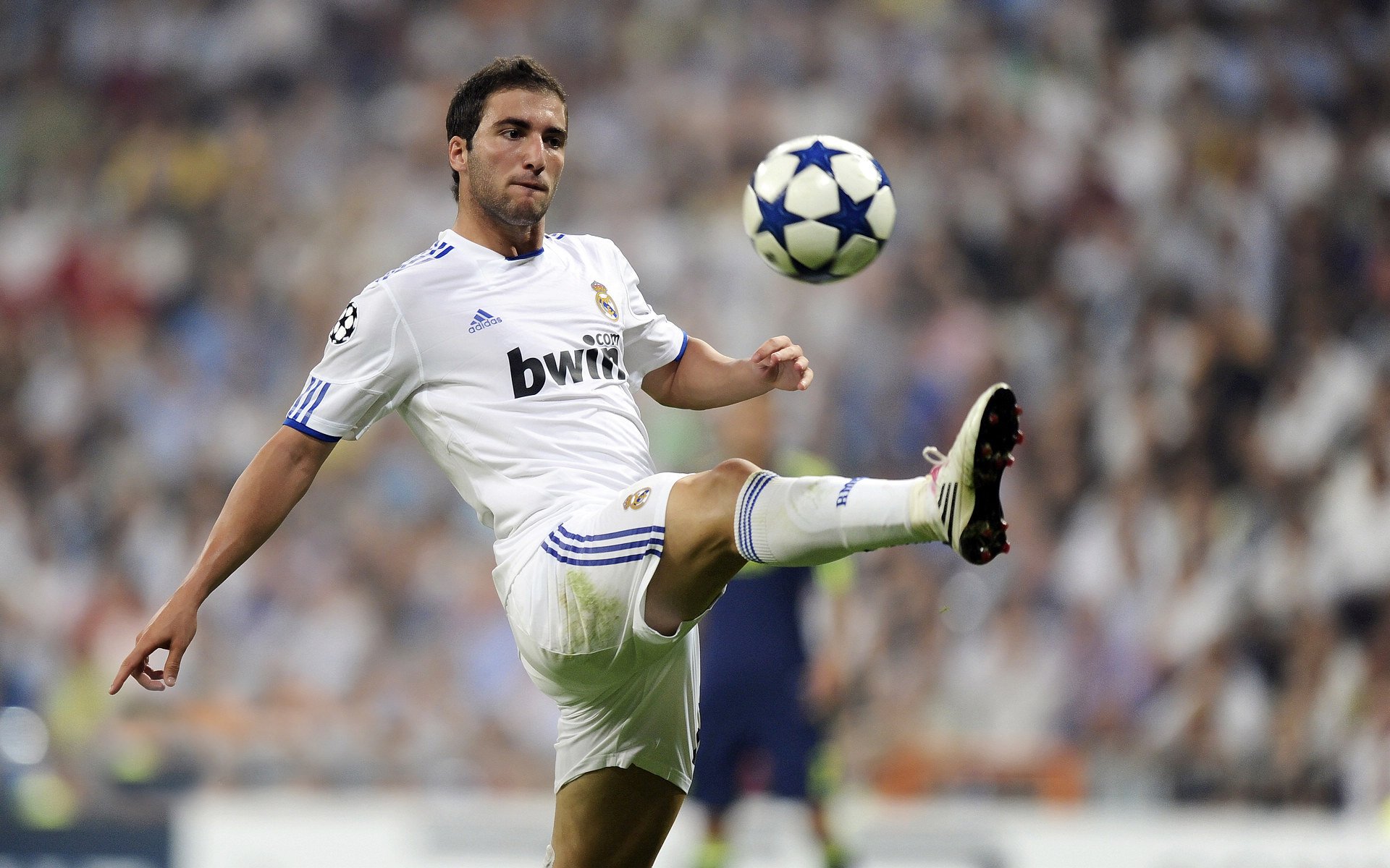 致命温柔,范弗利特如何用最冷静的方式终结比赛悬念